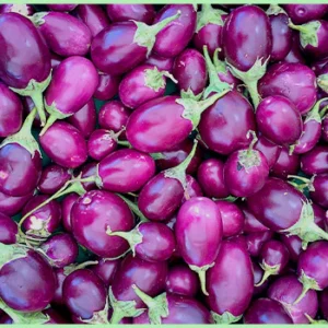 Brinjal