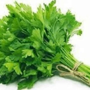 Coriander Leaves(Dhania)