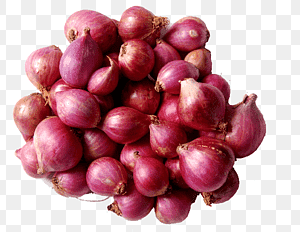 Onion (Pyaz)